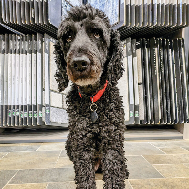 Kelly’s Flooring offers decades of experience, wide selection of products